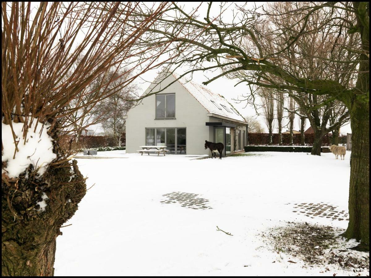 Rooseboom22 Bed and Breakfast Aartrijke Εξωτερικό φωτογραφία