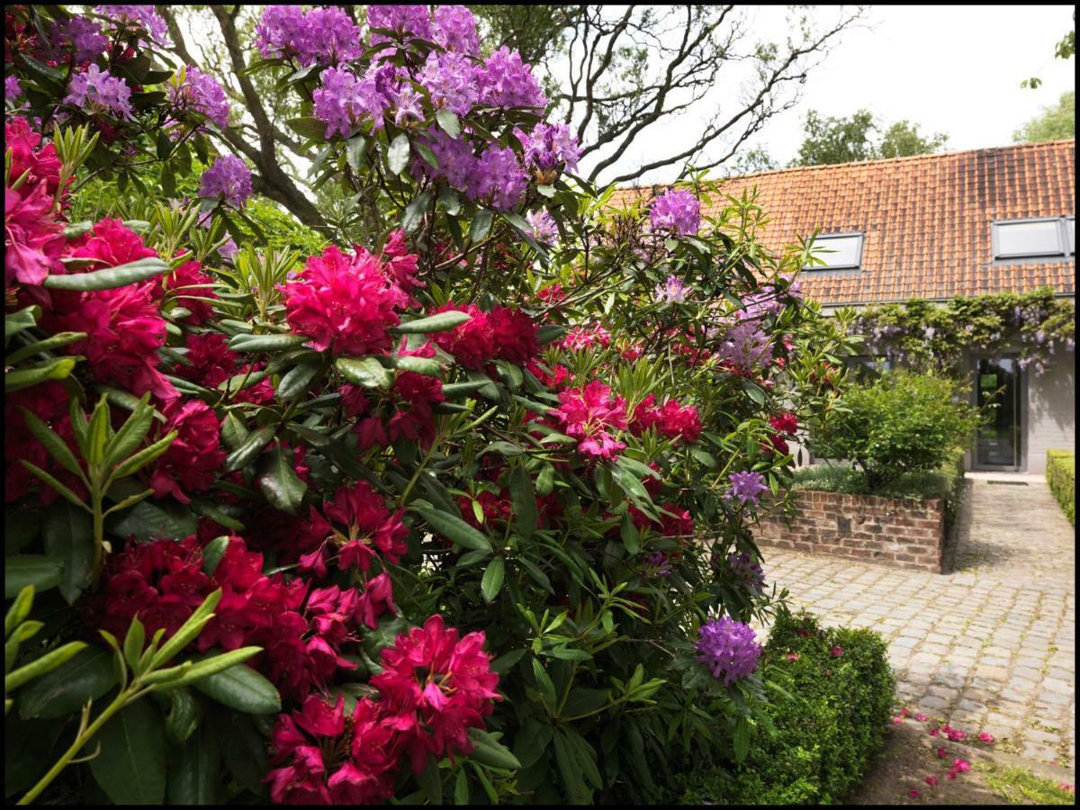 Rooseboom22 Bed and Breakfast Aartrijke Εξωτερικό φωτογραφία