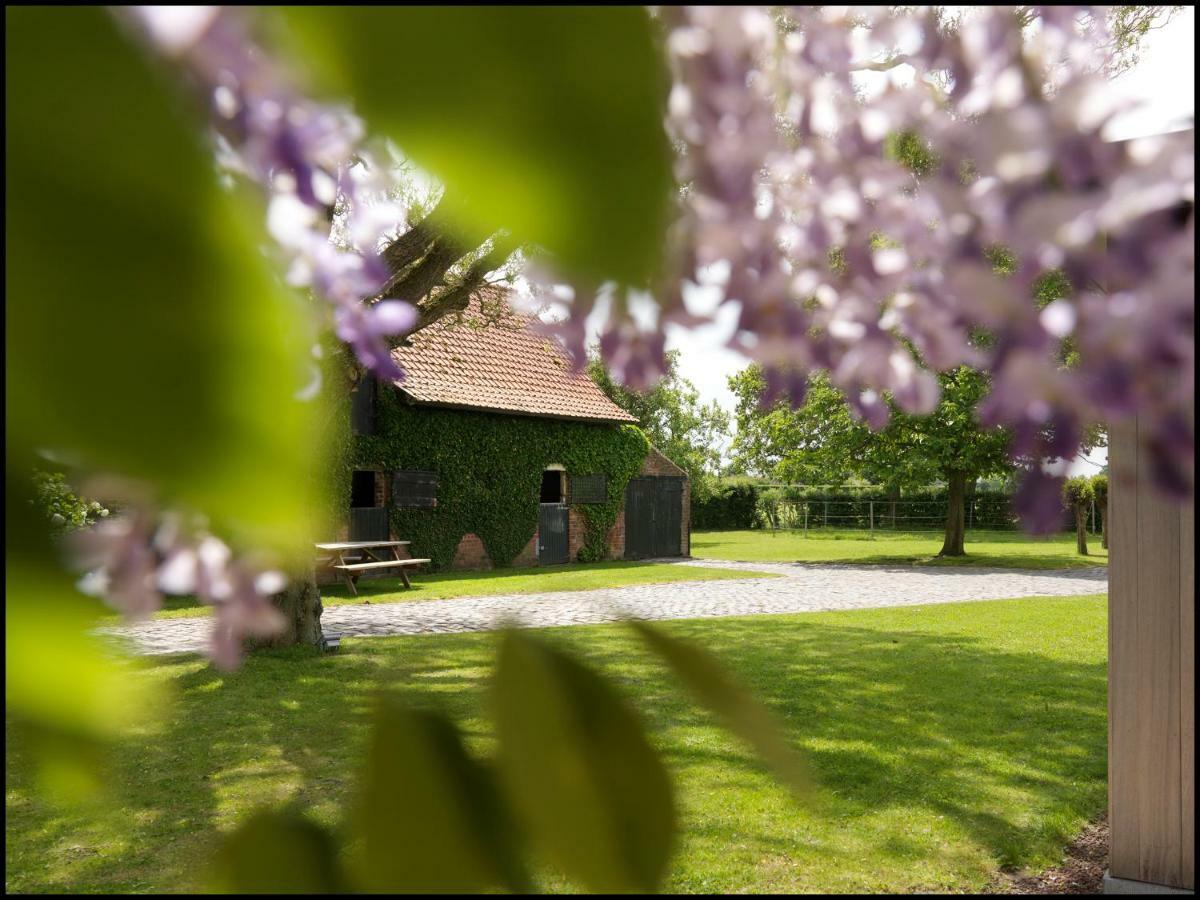 Rooseboom22 Bed and Breakfast Aartrijke Εξωτερικό φωτογραφία